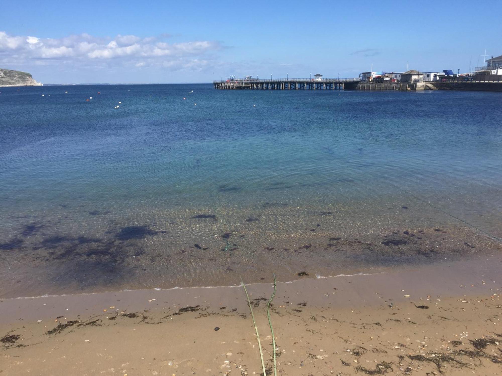 Ocean View Apartment Swanage Bagian luar foto